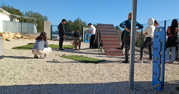 [Img #33968]