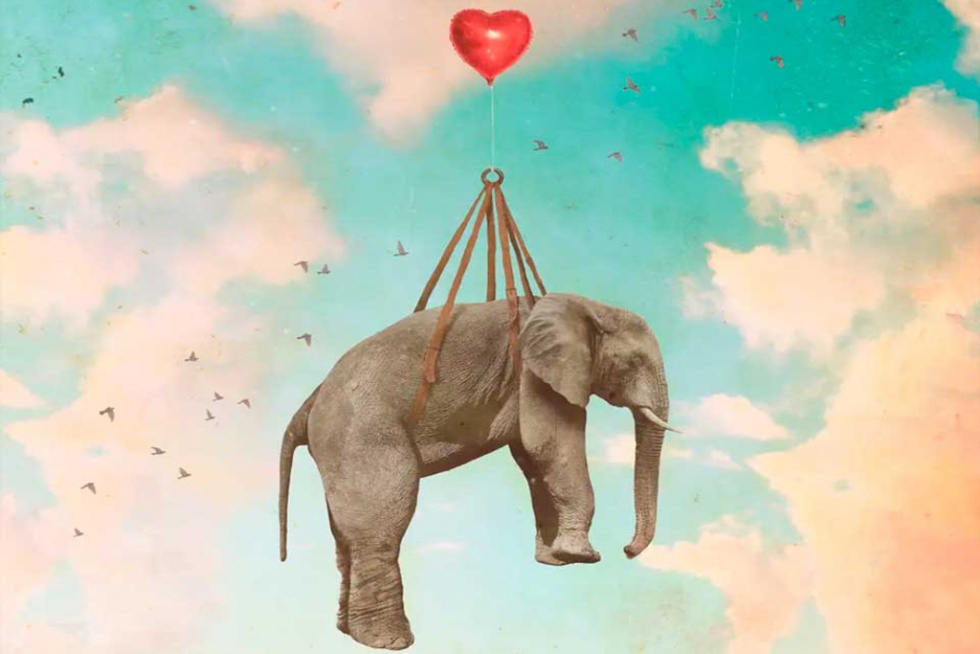 Portada del último disco de Macaco, 'Vuélame el corazón'.