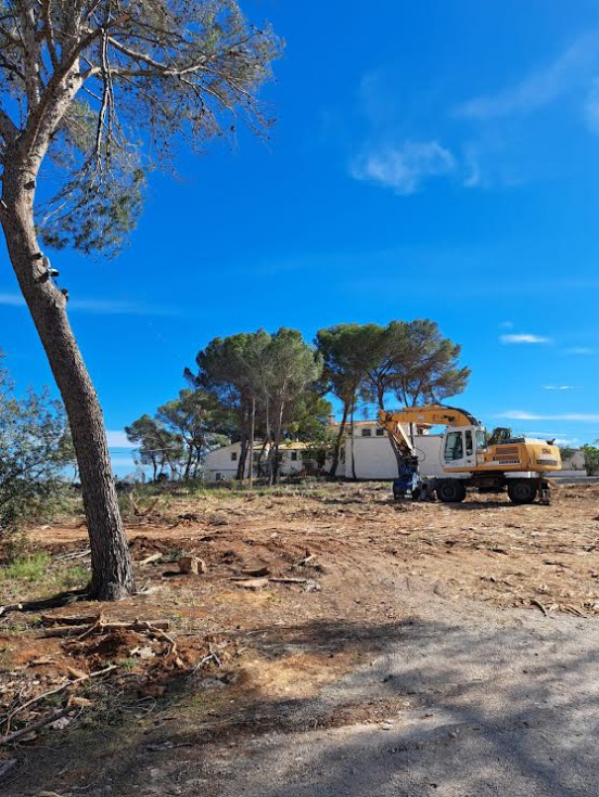 Comarca en venda: luxe per a uns i expulsió per a altres