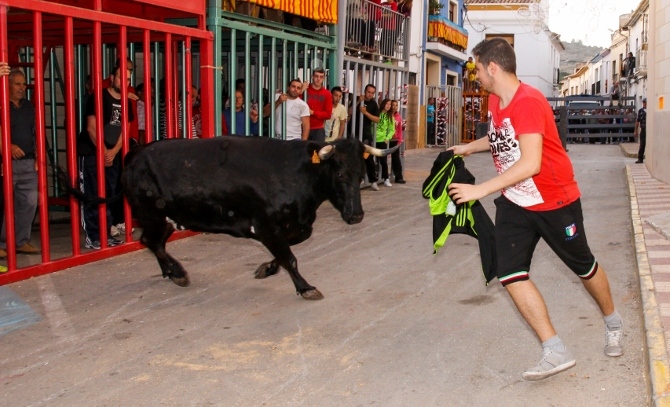 Programación fiestas patronales Senija 2024. Miércoles 8 de mayo. Bous al carrer