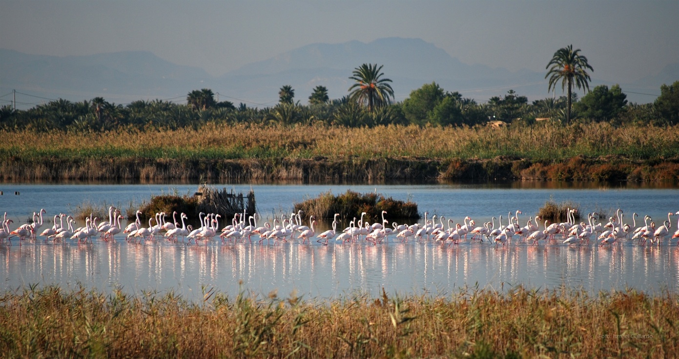 Los parques naturales de la Comunitat Valenciana celebran su diversidad y riqueza en el Día Europeo de los Parques Naturales