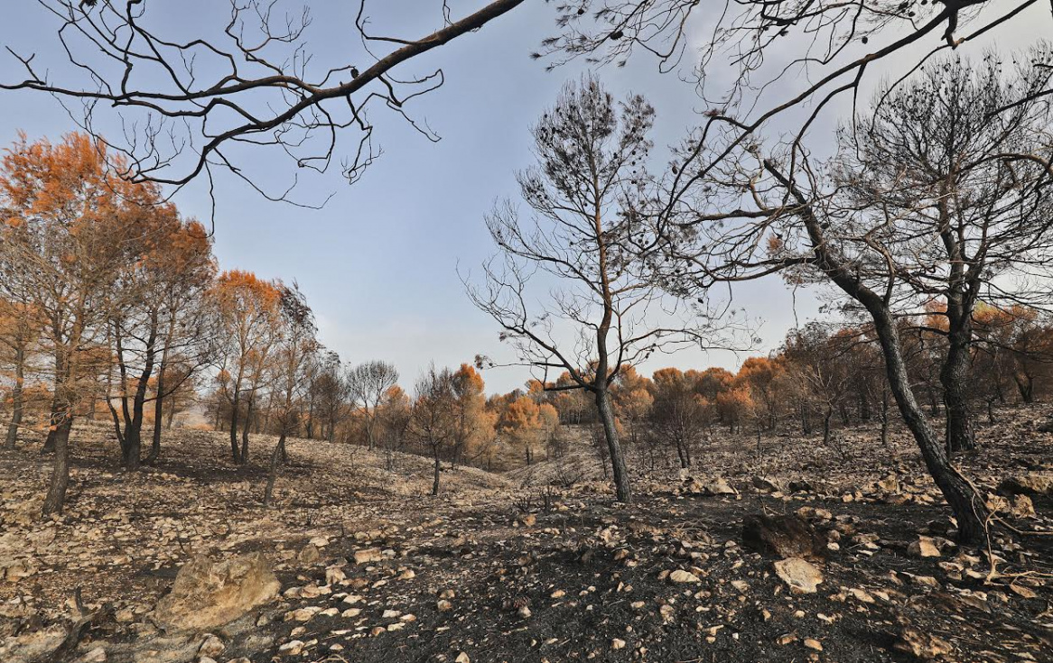 La Diputación de Alicante eleva a más de 6 millones la inversión para prevenir incendios forestales en la provincia