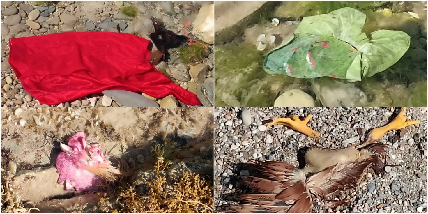 Algunos de los elementos del ritual de santería localizados en Cala Pinets