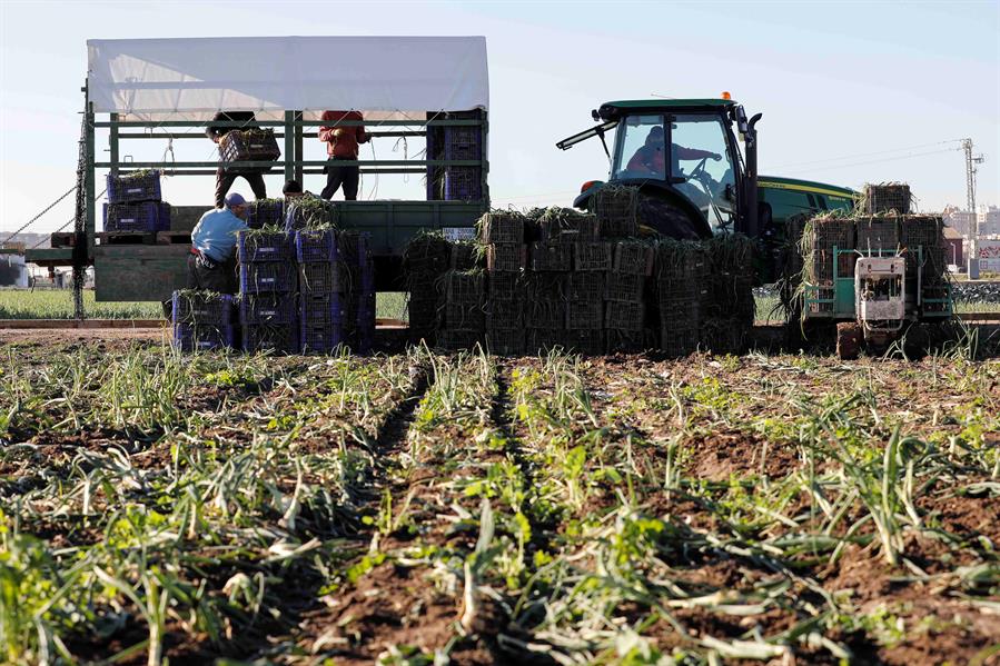 Imagen de archivo EFE/Ana Escobar