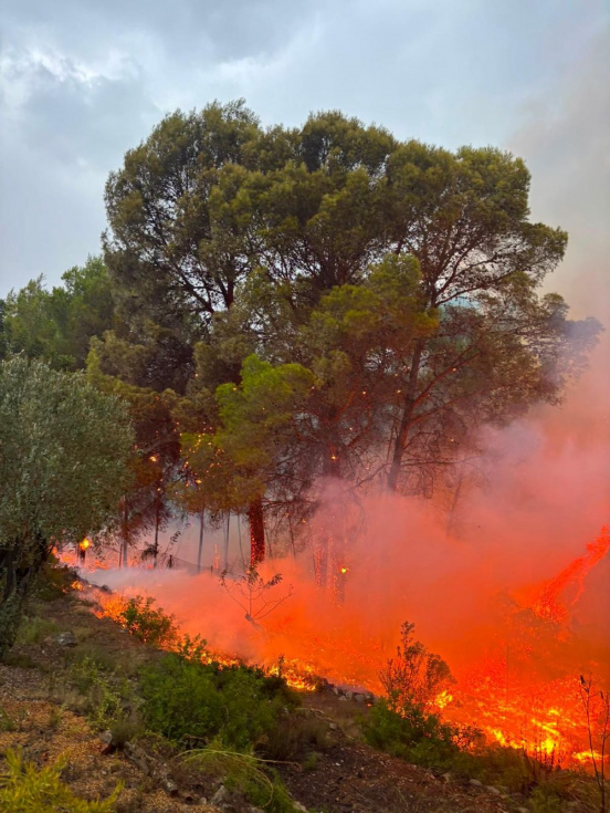 Un incendio forestal moviliza medios terrestres y aéreos en Llíber