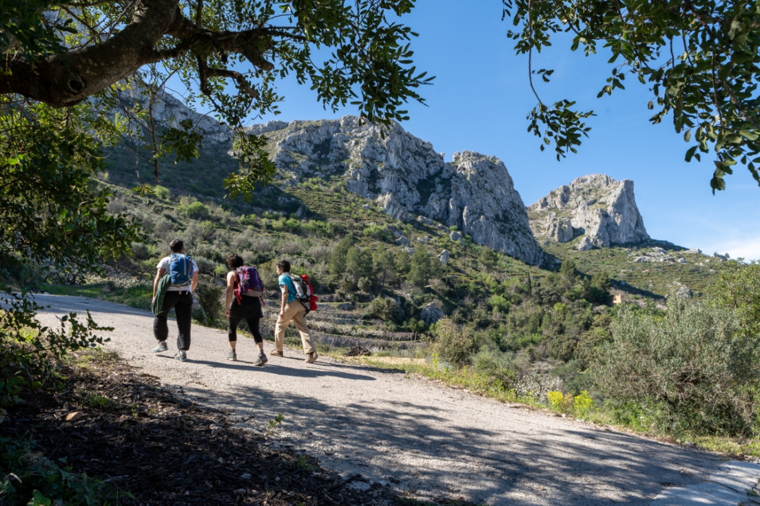 Descubre el patrimonio natural y cultural de Pego i Les Valls con su programa de rutas y visitas guiadas