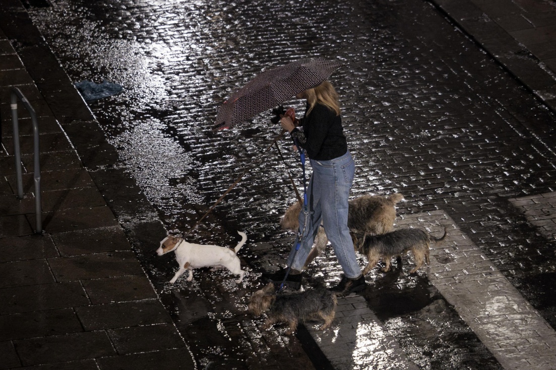 Mujer con paraguas pasea a sus perros bajo la lluvia. EFE/Biel Aliño